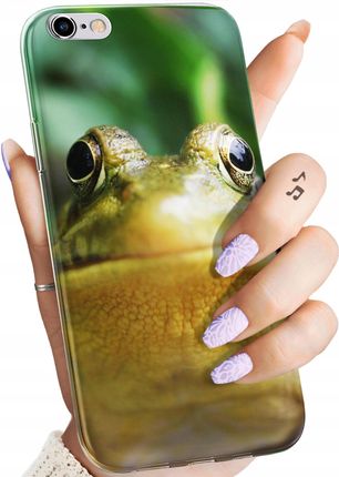 Hello Case Etui Do Iphone 6 6S Żabka Żaba Frog Case