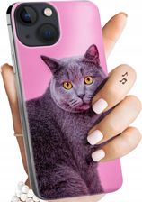 Hello Case Etui Do Iphone 13 Mini Koty Kotki Kociaki