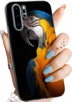 Hello Case Etui Do Huawei P30 Pro Papuga Papużka Tukan