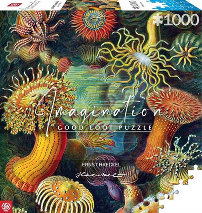 Cenega Puzzle Imagination Ernst Haeckel Stworzenia Morskie 1000El.