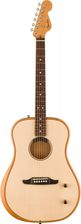 Fender Highway Series Dreadnought RW NAT - gitara elektroakustyczna
