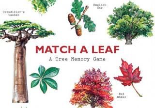 Laurence King Match a Leaf A Tree Memory Game (EN)
