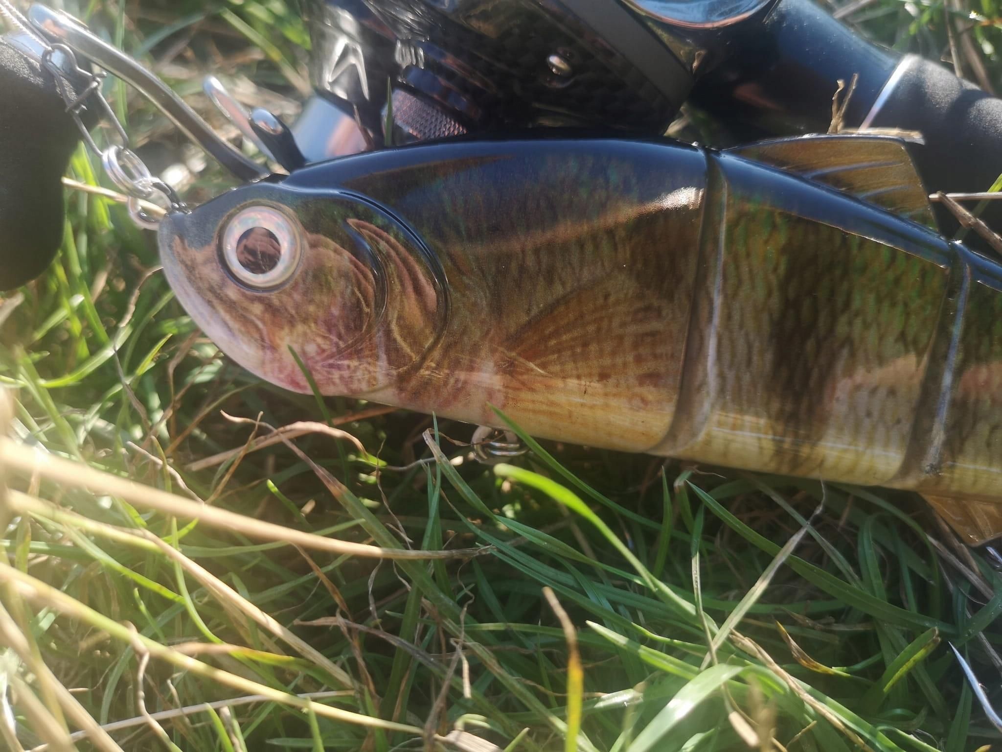 Suissex Jerk Wobler Łamany Jms 200 Okoń 20Cm 77G Szczupak