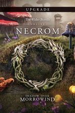 Zdjęcie The Elder Scrolls Online Collection: Necrom Upgrade (Xbox One Key) - Chęciny