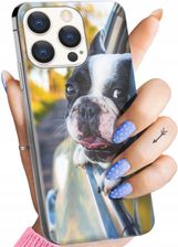 Hello Case Etui Do Iphone 15 Pro Mops Buldog Obudowa