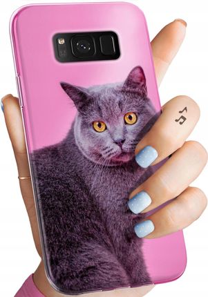 Hello Case Etui Do Samsung Galaxy S8 Koty Kotki Kociaki