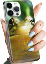 Hello Case Etui Do Iphone 14 Pro Max Żabka Żaba Frog