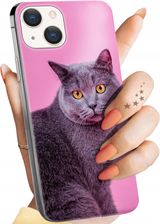 Hello Case Etui Do Iphone 15 Plus Koty Kotki Kociaki
