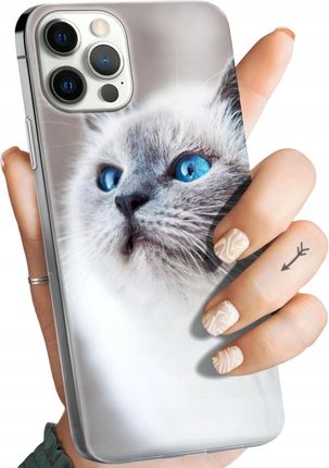 Hello Case Etui Do Iphone 12 Pro Max Animals Zdjęcia
