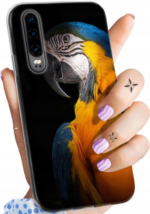 Etui Do Huawei P30 Papuga Papużka Tukan Case