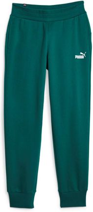 Spodnie dresowe damskie Puma ESS FL zielone 58684143