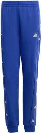 Dziecięce Spodnie Adidas U Bluv Pnt Q1 Ib8728 – Niebieski