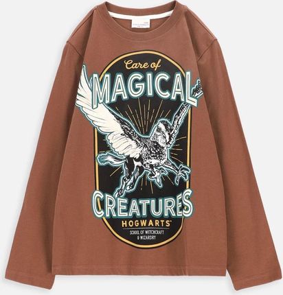 T-shirt z długim rękawem brązowy z nadrukiem, licencja HARRY POTTER