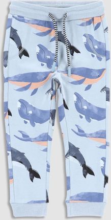 Spodnie dresowe błękitne z morskim printem o fasonie SLIM