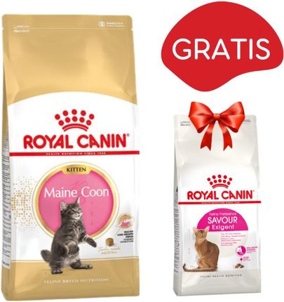 Royal Canin Maine Coon Kitten 4kg + Savour Exigent FHN 35/30 400g