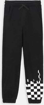 Spodnie dresowe czarne ocieplane z nadrukiem na nogawce o fasonie SLIM
