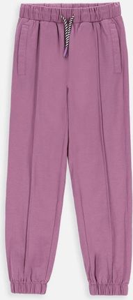 Spodnie dresowe fioletowe ze ściągaczami