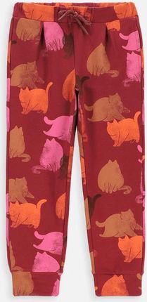 Spodnie dresowe bordowe z printem w koty