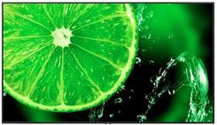 Zdjęcie Nec Monitor Multisync E988 (60005929) - Bełchatów