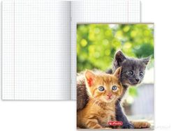 Herlitz Zeszyt Animals A5 W Kratkę 16 Kartkowy Kotki