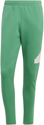 Męskie Spodnie Adidas M FI Bos PT Ic3763 – Zielony