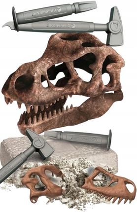 Clementoni Anatomia Dinozaura Wykopaliska Dla Dzieci Czaszka