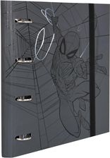 Segregator A4 Z Gumką Disney 100 Wzór 3
