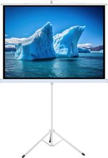 Zdjęcie Art Ekran Ręczny Na Statywie 100" 152X203Cm Ta-100 4:3 - Żarów