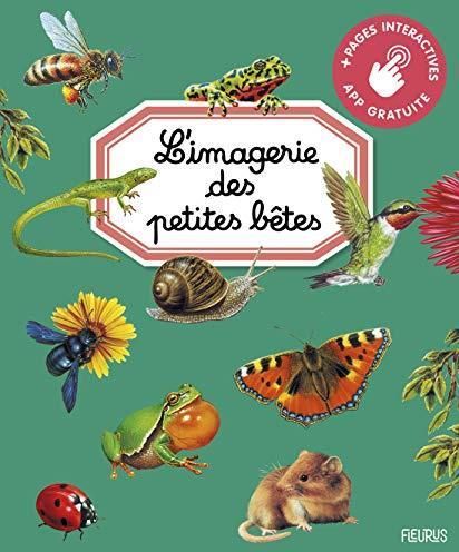 L'imagerie Des Petites Bêtes (interactive) - Literatura Obcojęzyczna ...