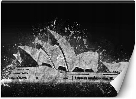 Feeby Opera W Sydney 100x70