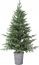 Zdjęcie Ekvip Choinka W Koszyku 130 Cm 024817 - Skoczów