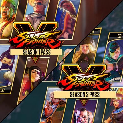 Street Fighter V Arcade Edition Character Pass 1 + 2 Bundle (PS4 Key)