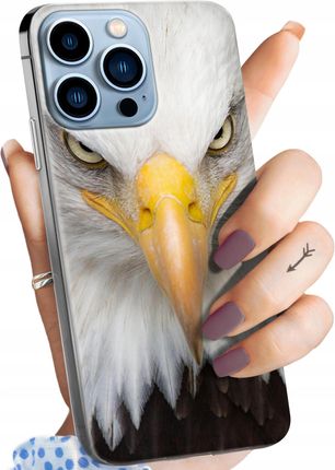Hello Case Etui Do Iphone 13 Pro Orzeł Sokół Eagle Case
