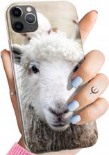 Hello Case Etui Do Iphone 11 Pro Owca Owieczka Baranek Obudowa Pokrowiec Case
