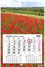 Zdjęcie Kalendarz 2024 Jednodzielny Gł. Płaska Maki - Ev-Corp - Bytom