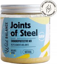 Zdjęcie Wild Balance Joints Of Steel Suplement Diety Dla Dorosłych Psów I Kotów Wspiera Pracę Stawów 100G - Rajgród