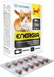 Wita-Vet kot energia 60 tab/5 blistrów