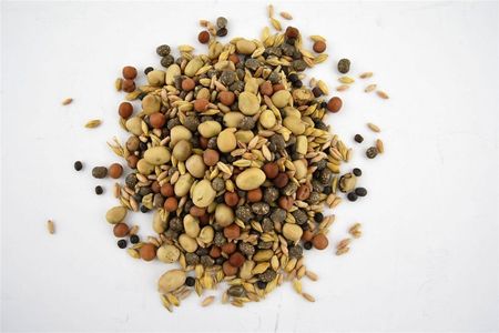 Agronas Mieszanka Strączkowo-Zbożowa Poplon 25kg  Agro-Nas - zdjęcie 2