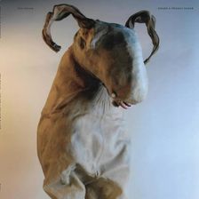 Zdjęcie Sex Swing: Live At Sonic Whip 2022 Grade A Peanut Sauce [Winyl] - Łochów