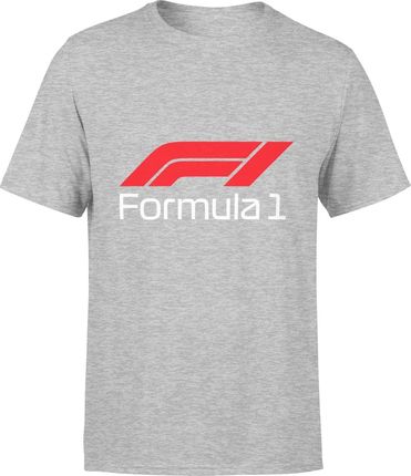 Formuła 1 Męska koszulka z nadrukiem hamilton red bull racing prezent dla fana motoryzacji (XXL, Szary)
