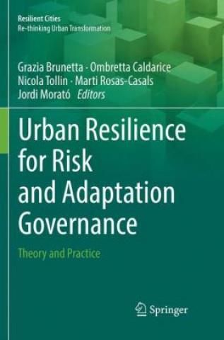 Urban Resilience For Risk And Adaptation Governance - Literatura ...