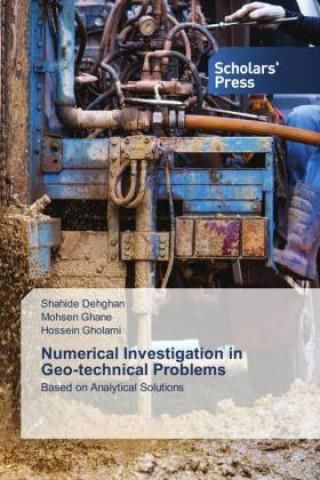 Numerical Investigation In Geo-technical Problems - Literatura ...