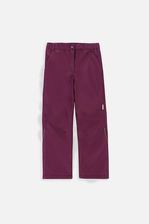 Zdjęcie Spodnie narciarskie Lemon Explore - Śrem