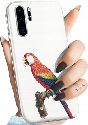 Hello Case Etui Do Huawei P30 Pro Ptaki Ptak Papuga Koliber Obudowa Pokrowiec