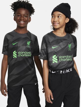 Koszulka Piłkarska Z Krótkim Rękawem Dla Dużych Dzieci Nike Dri-Fit Liverpool F.C. Stadium Goalkeeper 2023/24 Szary