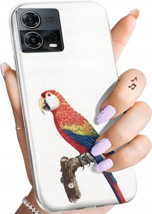Hello Case Etui Do Motorola Moto S30 Pro 5G Edge 30 Fusion Ptaki Ptak Papuga