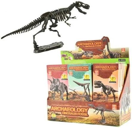 Robe Szkielet Dinozaura 3D 12Szt