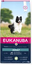 Eukanuba Sucha karma dla dorosłych psów małych i średnich ras bogata w jagnięcinę i ryż 12kg