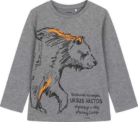 Koszulka T-shirt  z Długim Rękawem chłopięca dziecięca Niedźwiedź 158 Endo