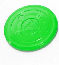 Zdjęcie Europool Krążek Fluorescencyjny Tc Zielony 70mm 80200368 - Pszczyna